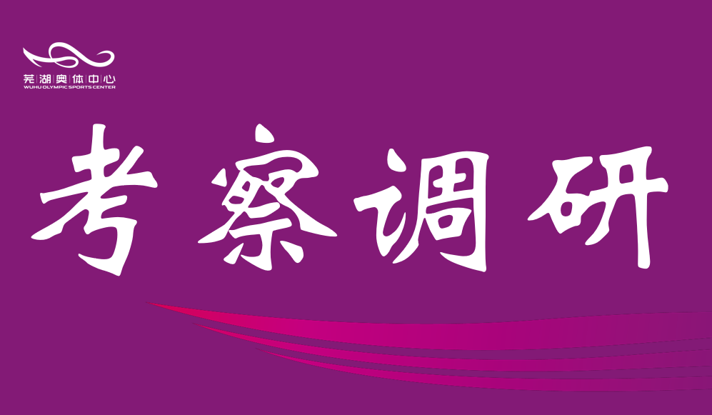 芜湖市政协调研b体育中心